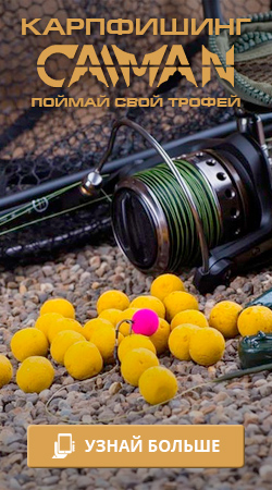 Карпфишинг с  Карпфишинг с